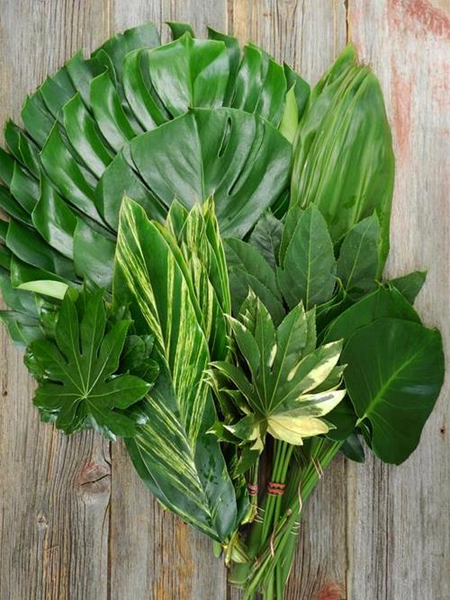 TROPICAL PARADISE GREENS COMBO BOX
